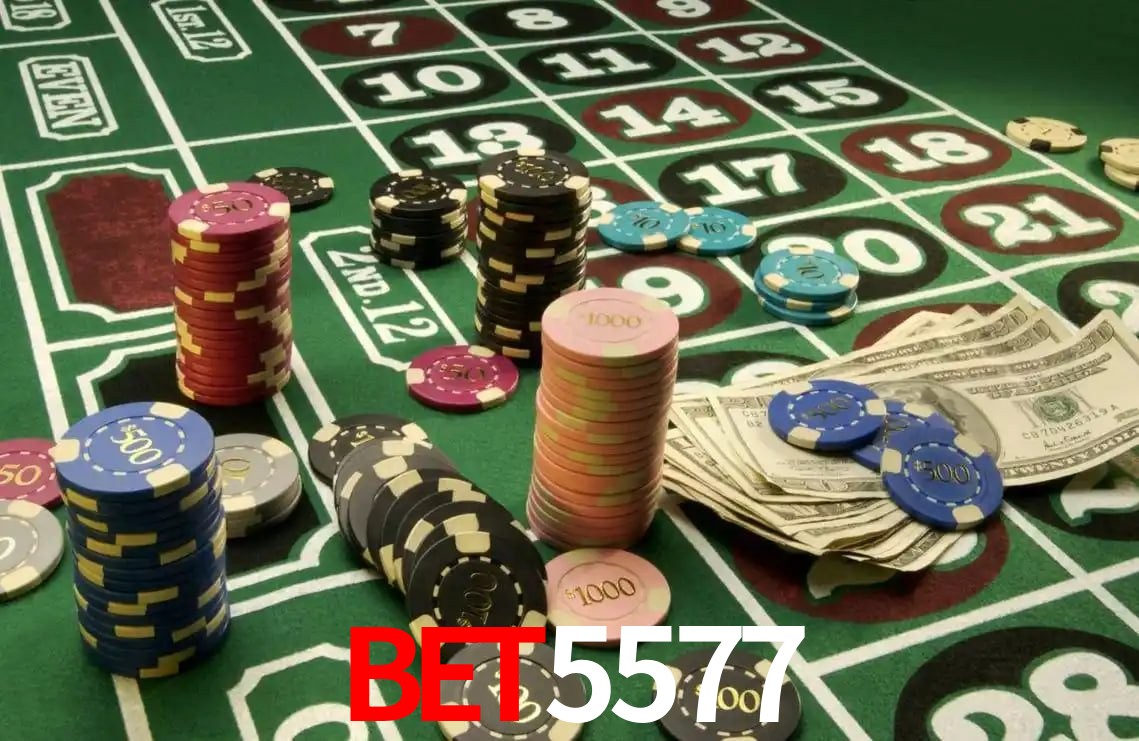 Experiência VIP Bet5577